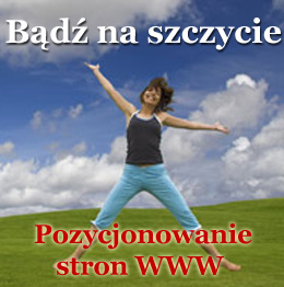 pozycjonowanie warszawa